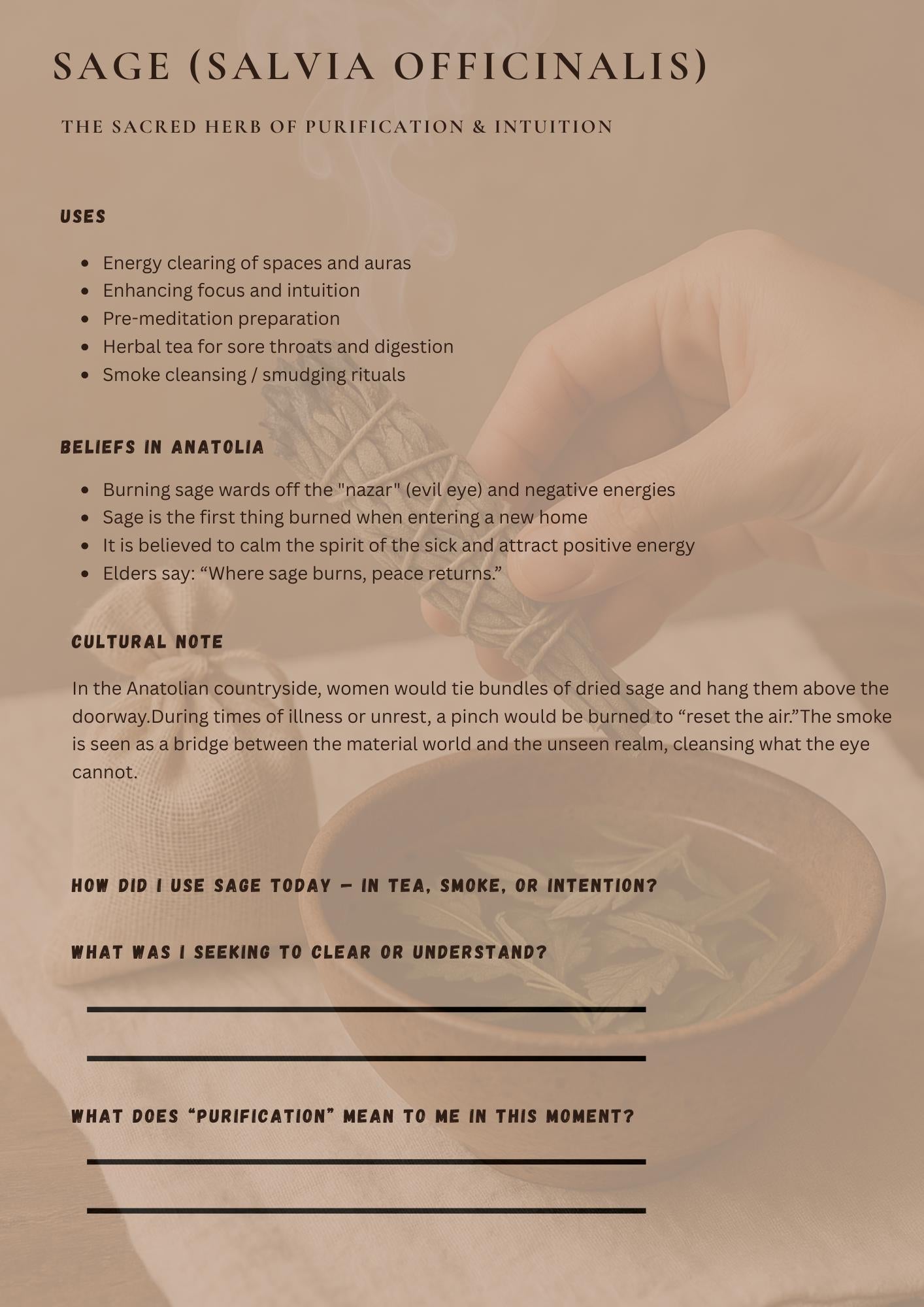Anatolian Herbal Healing Journal – Ritual Pages & Sacred Plant Guide | Digital Wellness Kit PDF